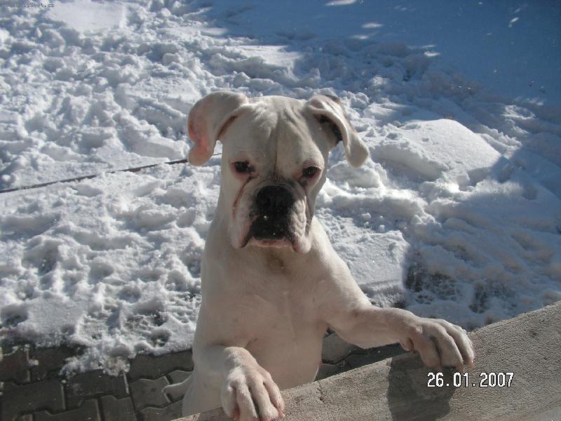 Foto: kam jste se schovali