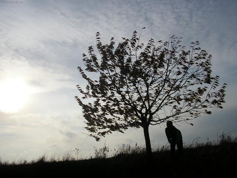 Foto: Podzim