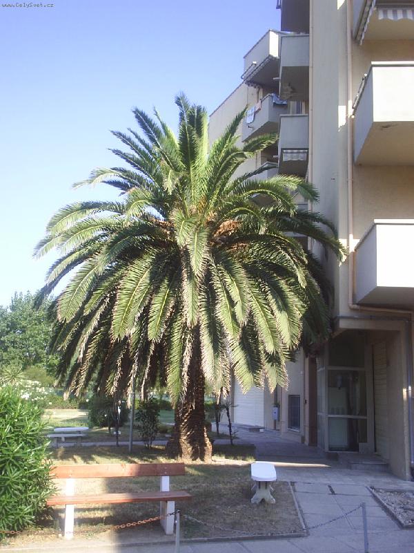 Foto: Kr�ska-Dolen� v It�lii