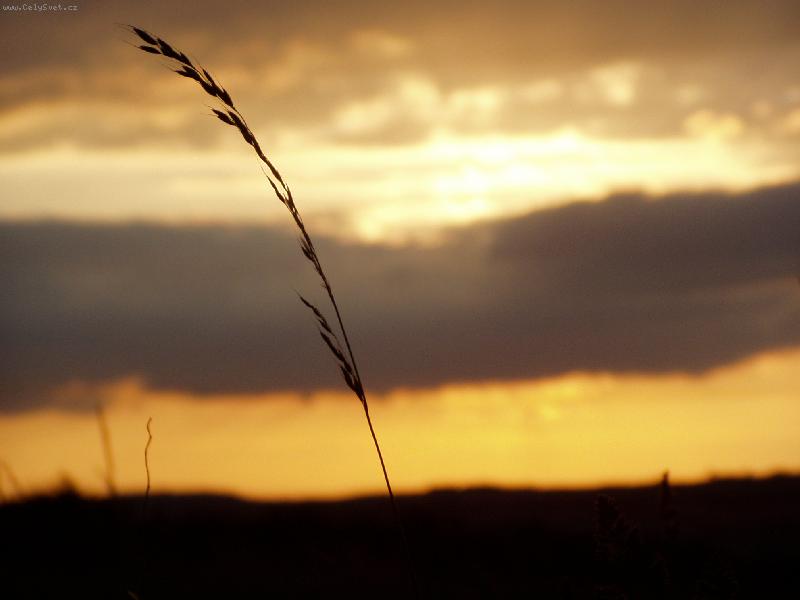 Foto: Rovnov�ha............