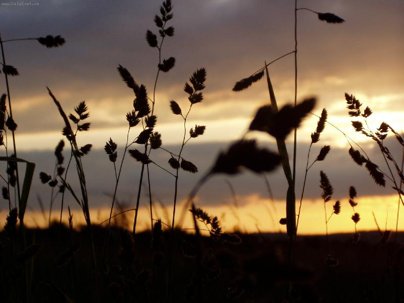 Foto: Setk�n�.............