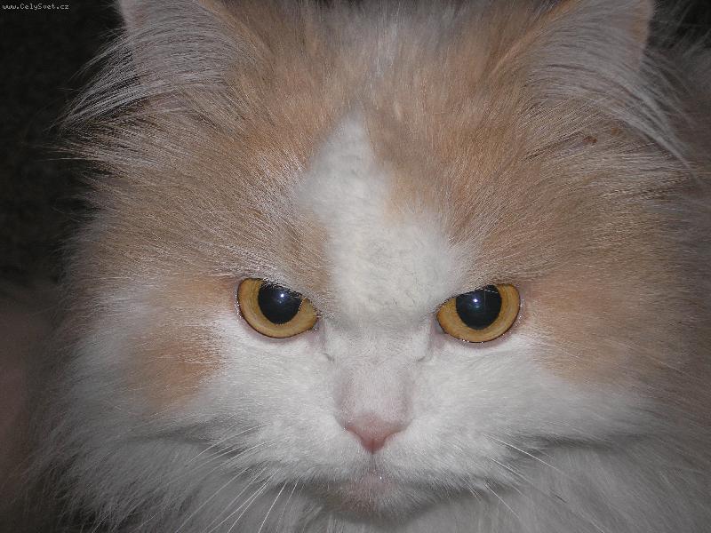 Foto: lilinka