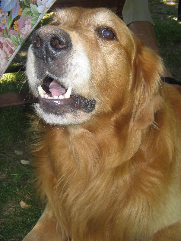 Foto: BAF!!!-Aramek