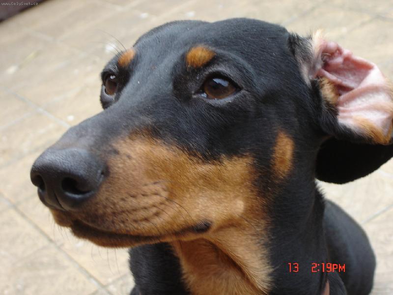 Foto: Dorotka