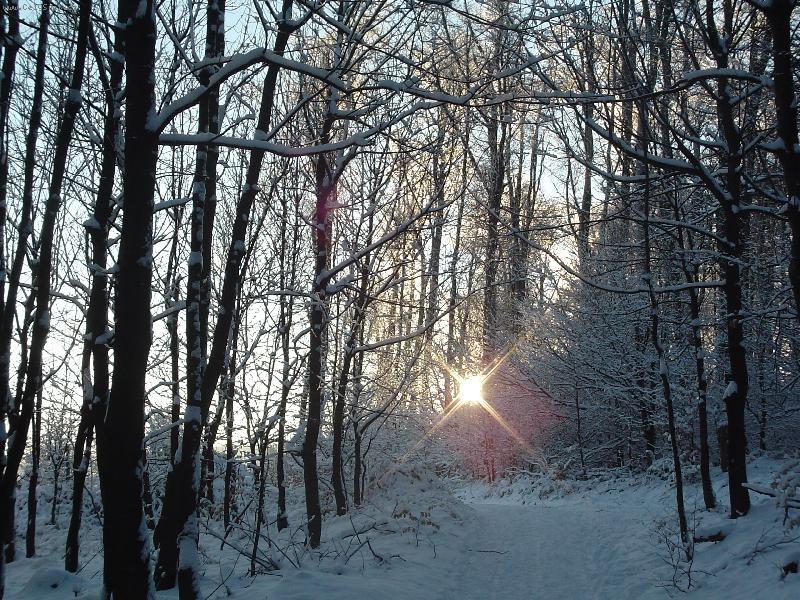 Foto: Zima