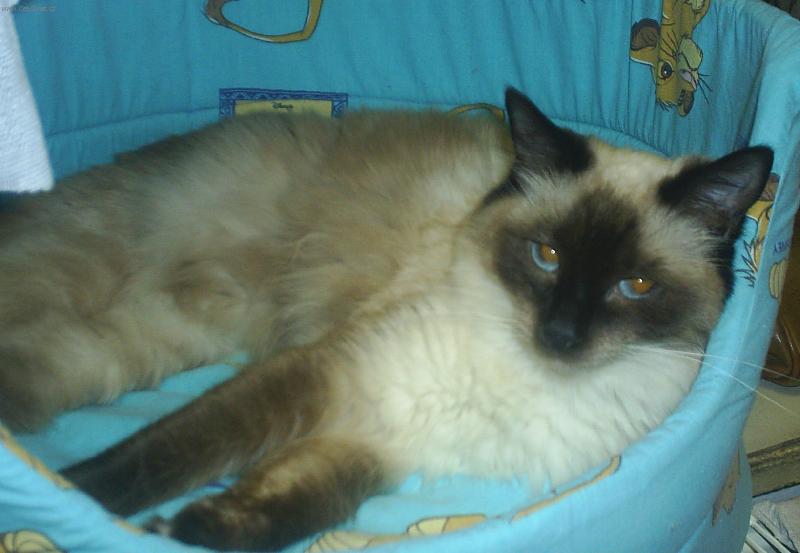 Foto: Harmonie