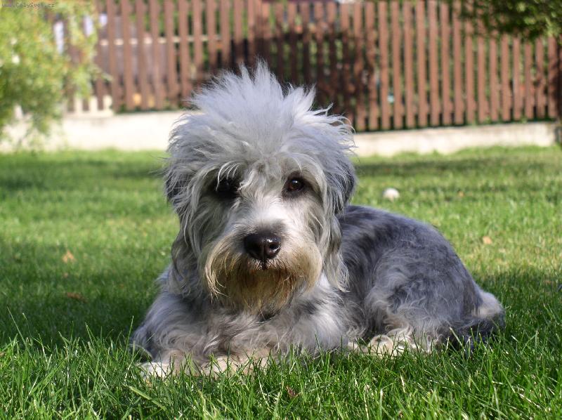 Foto: Swanie-To jsem j� .....