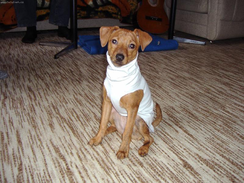 Foto: Sindy v �ati�k�ch