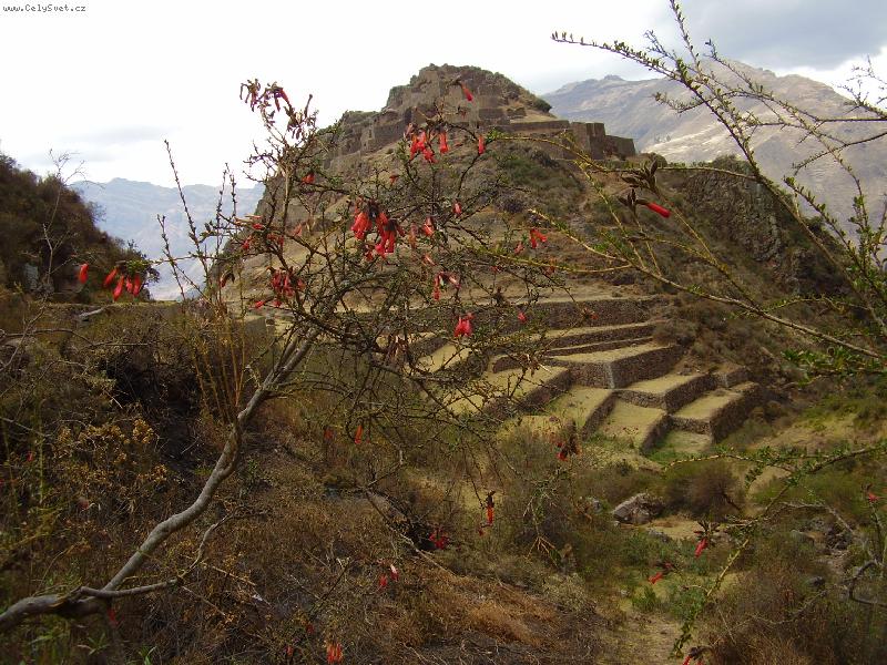 Foto: Pisac