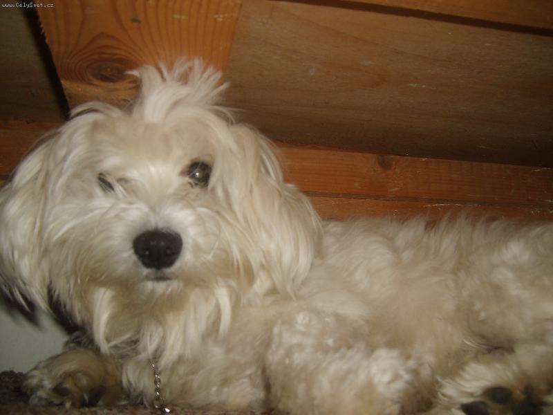 Foto: Co m� budite ze sp�nku!!!!!!