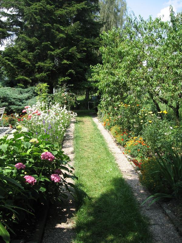 Foto: Na�e zahrada