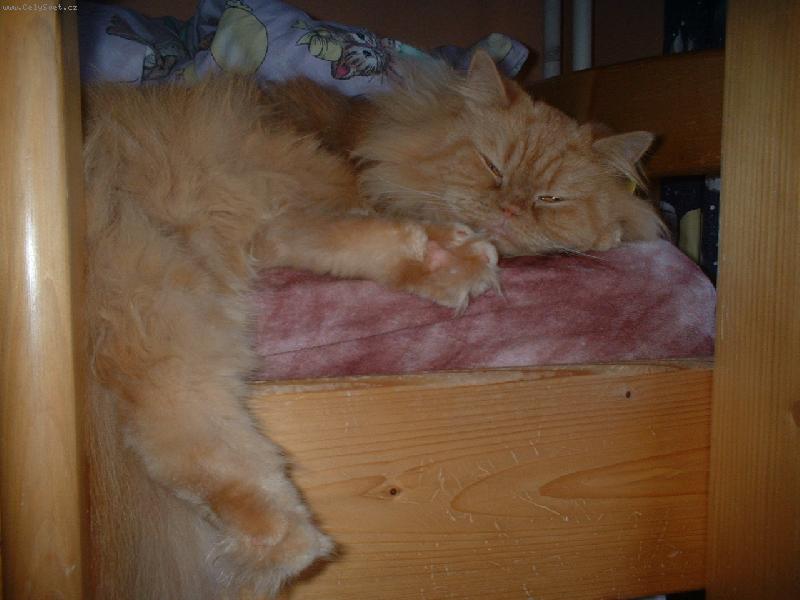 Foto: Saninka-nebudte M�...