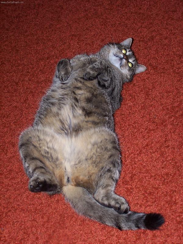 Foto: vzd�v�m se-vzd�v�m se