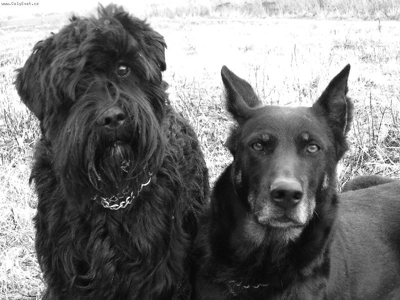 Foto: k�mo�i-k�mo�i