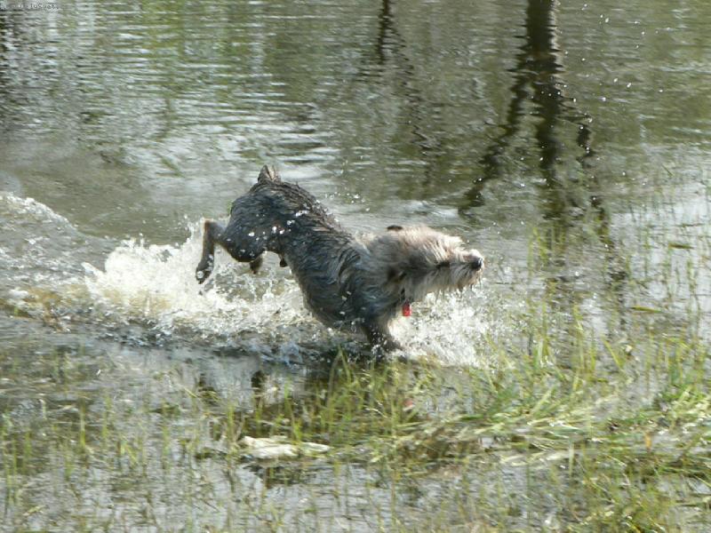 Foto: Kub��ek-bl�zen do vody