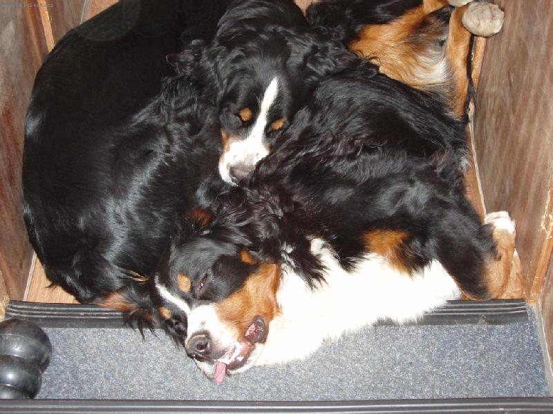 Foto: �nava na druhou