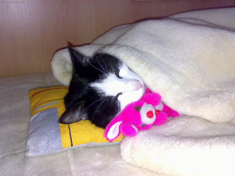 Foto: Haj�...-Nun�nek