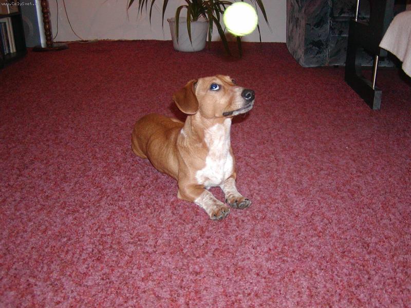 Foto: Timi-To je ufo???