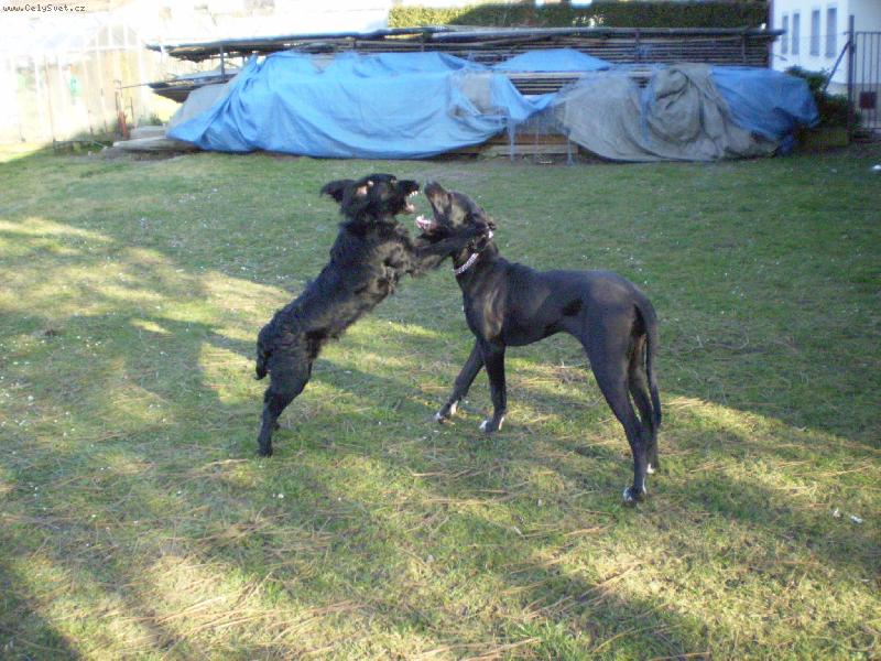 Foto: Nerovnej souboj