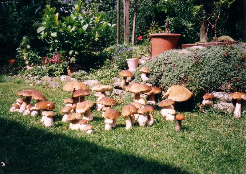 Foto: �roda-Kdy� dost zal�v�te.....