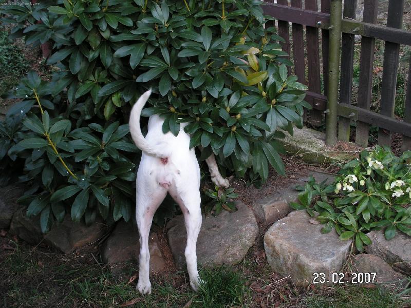 Foto: na�li nebo nena�li