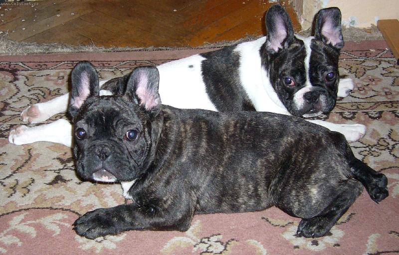 Foto: Robbie a Williams