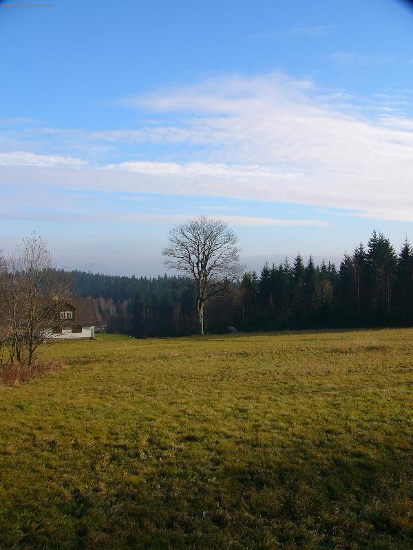 Foto: V podje�t�d�