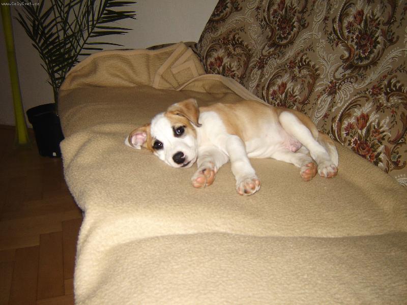 Foto: Gucci-prvn� den doma