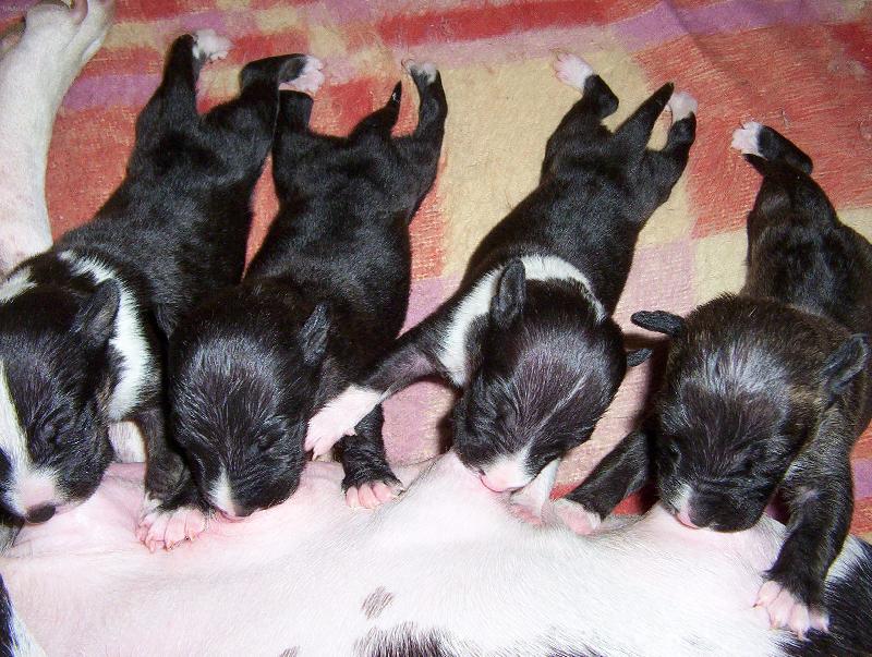 Foto: A tak �ivot za��n� !!!