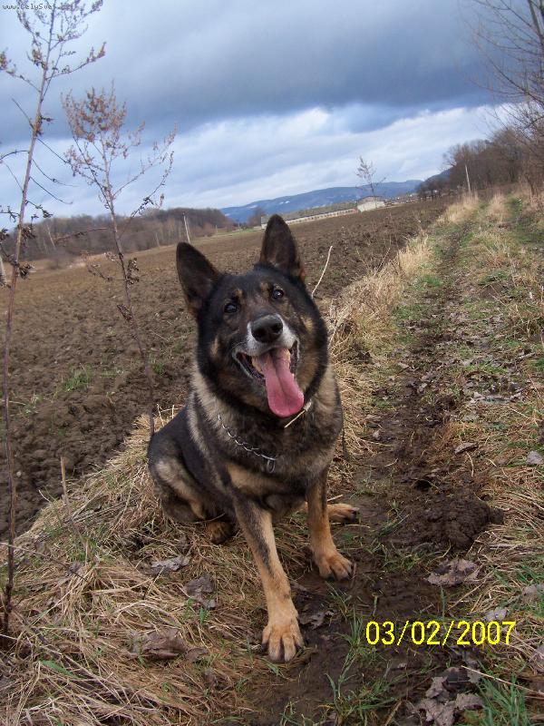 Foto: �ek�m na aportek...-Beni�ek