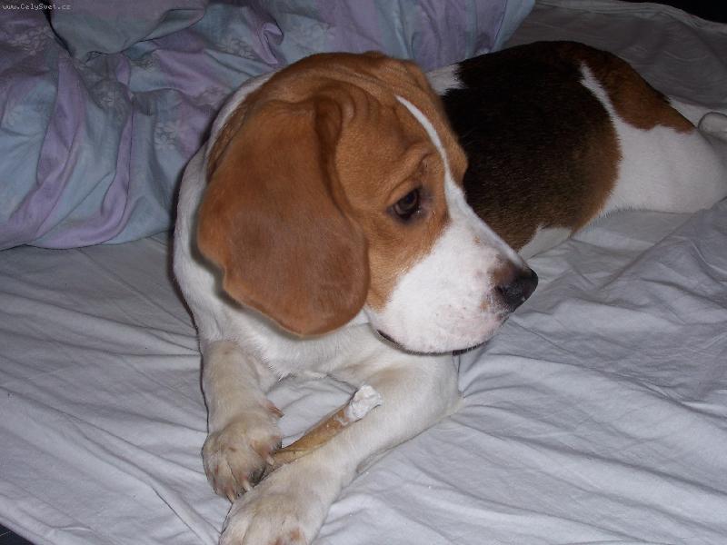 Foto: jojo j� ti rozum�m