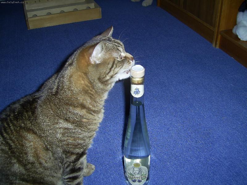 Foto: Taky si r�d d�m!!!