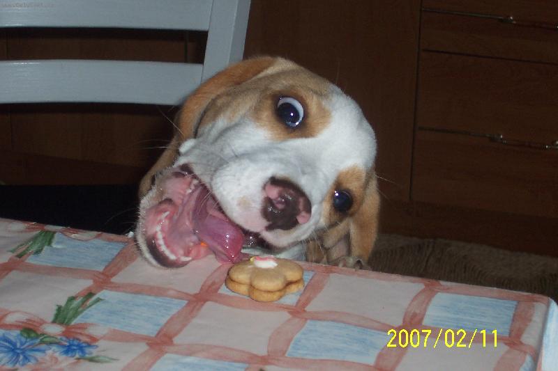 Foto: A stejn� t� sn�m!