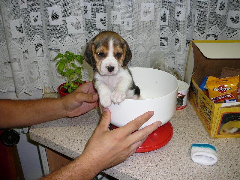 Foto: Kolik to bude dneska???