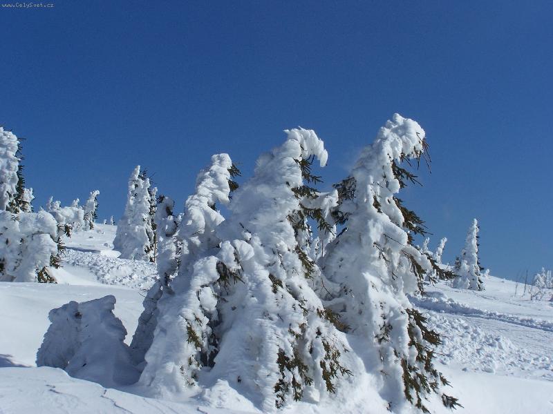 Foto: Krkono�e-�nor 2007