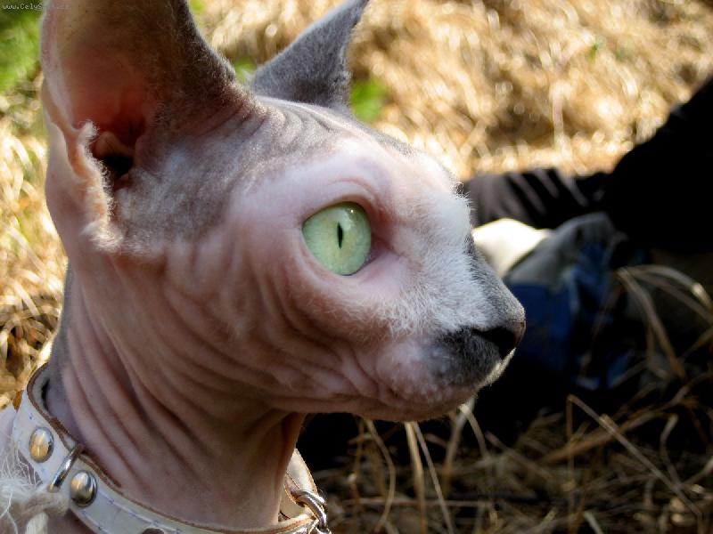 Foto: R�chel letos poprv� v lese..