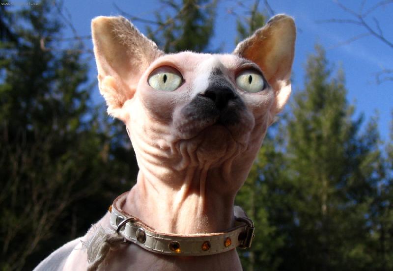 Foto: R�chel na v�prav�...