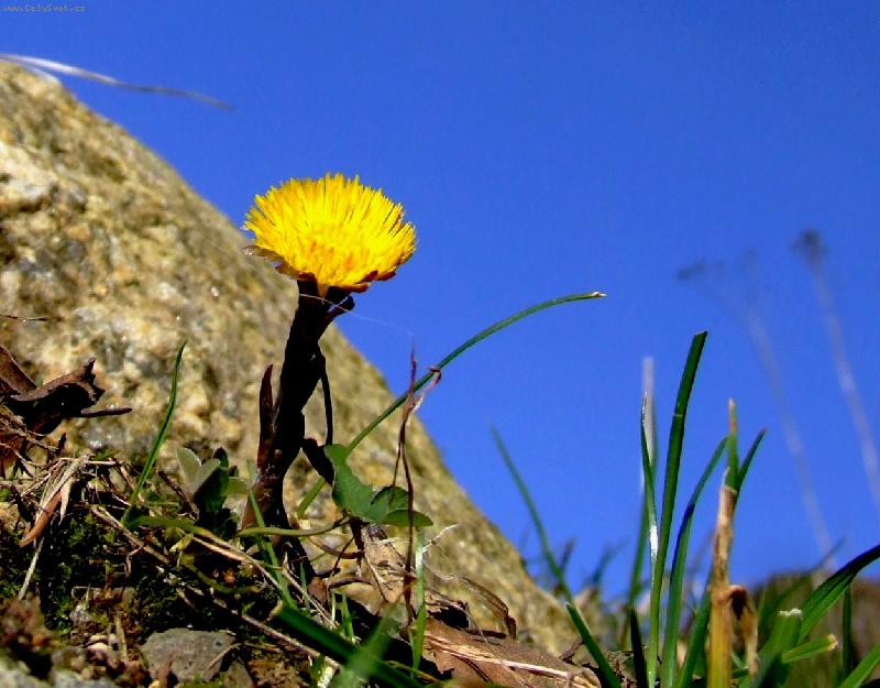 Foto: kone�n� az�ro...