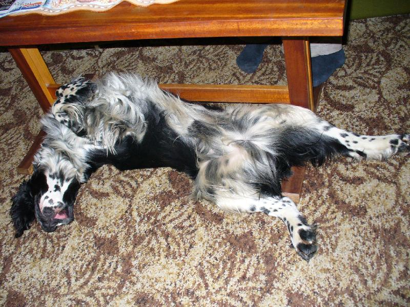 Foto: Benjamin-to je pohoda....