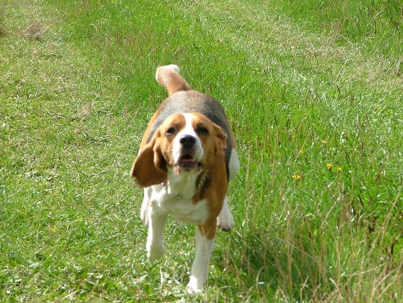 Foto: barborka-uz letim