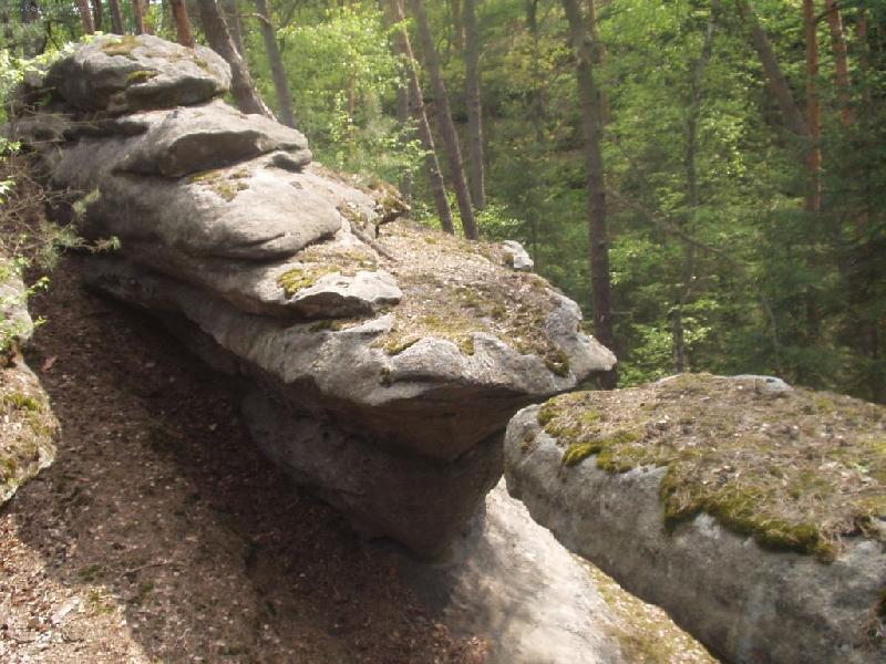 Foto: dva �um��ci