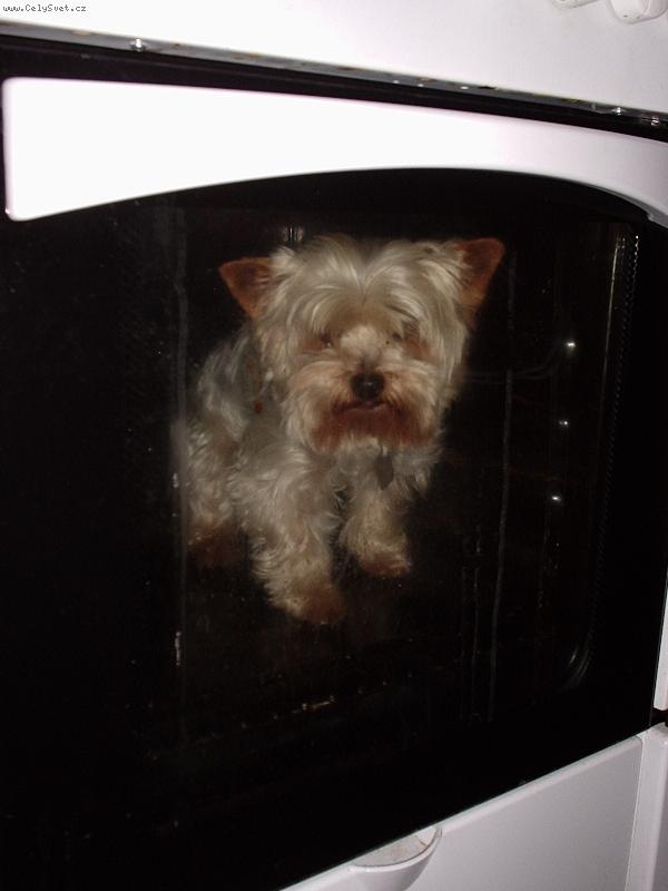 Foto: MiniMax-To m�m teplou boudi�ku