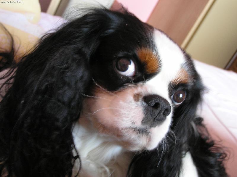 Foto: To je pro Playboy?