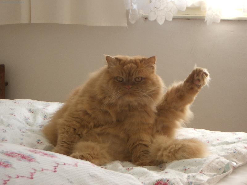 Foto: Odpoledn� gymnastika