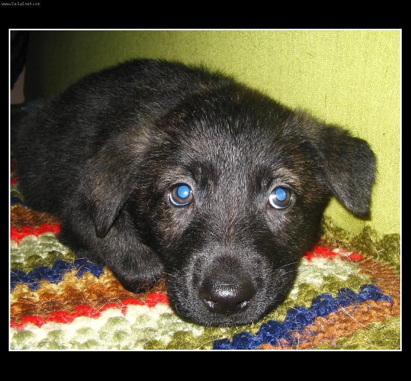 Foto: ps� o�i-Darja