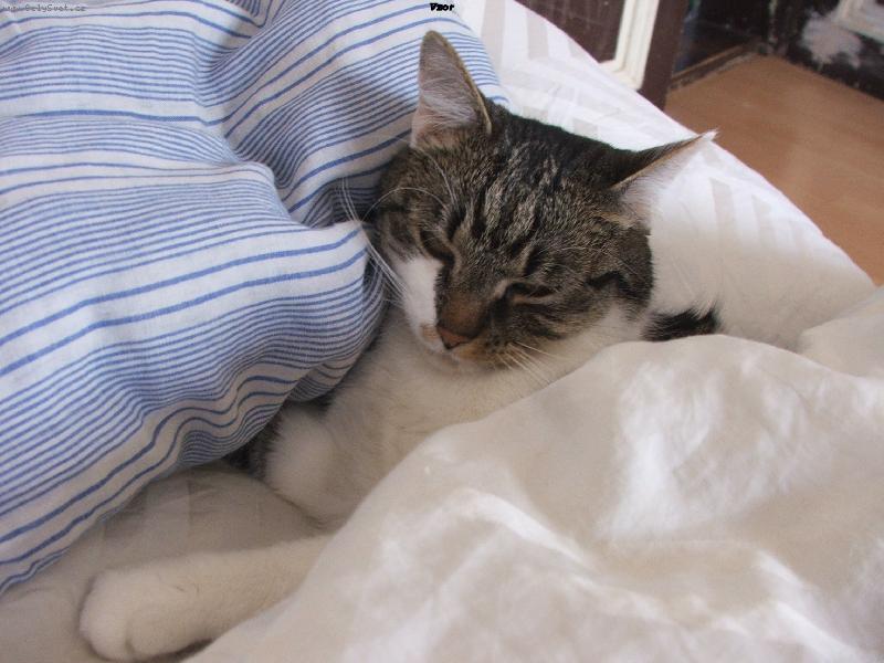 Foto: pros�m neru�it-KUBA