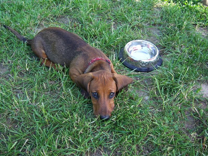 Foto: Vikina-s misti�kou