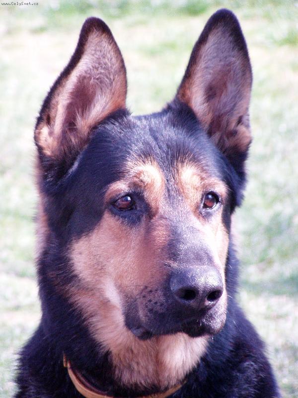 Foto: Rikou��v portr�t :)