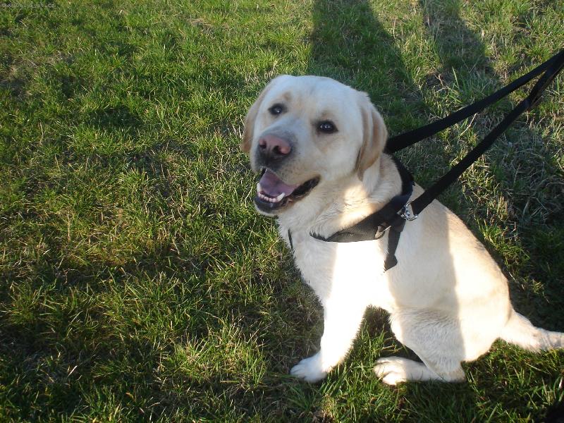 Foto: Cos ��kala?