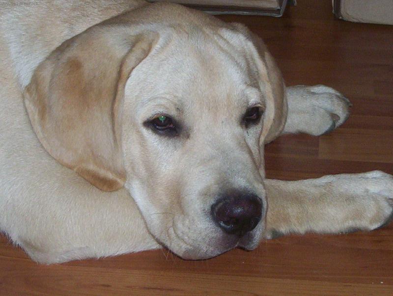 Foto: Max-chv�le odpo�inku �.2